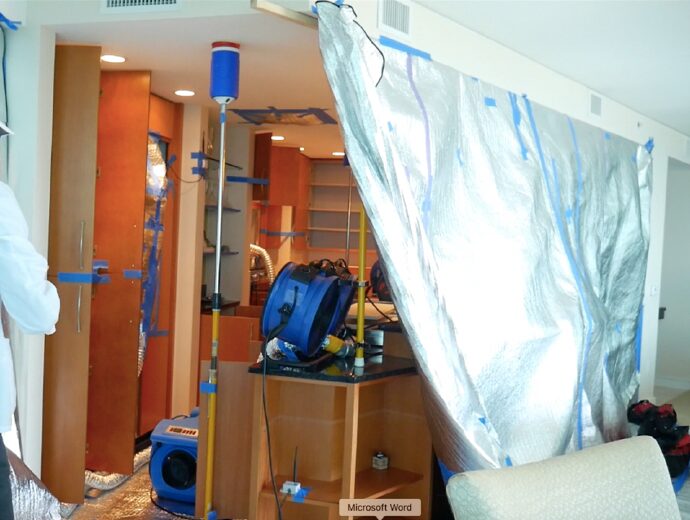 The efficacy of heat treatment for drywood termite management