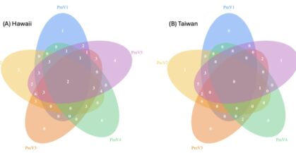 Publication: invasive big-headed ant